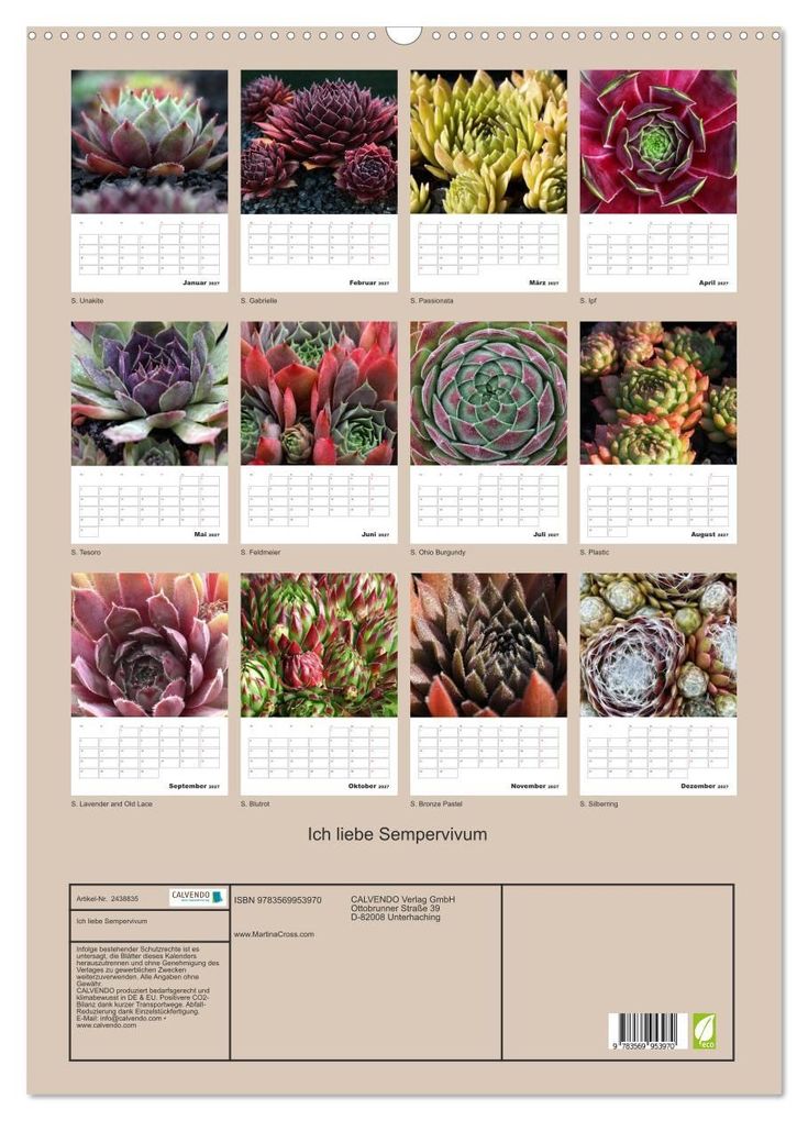 Weitere Ansicht: Ich liebe Sempervivum (Wandkalender 2027 DIN A2 hoch), CALVENDO Monatskalender | Martina Cross, Calvendo