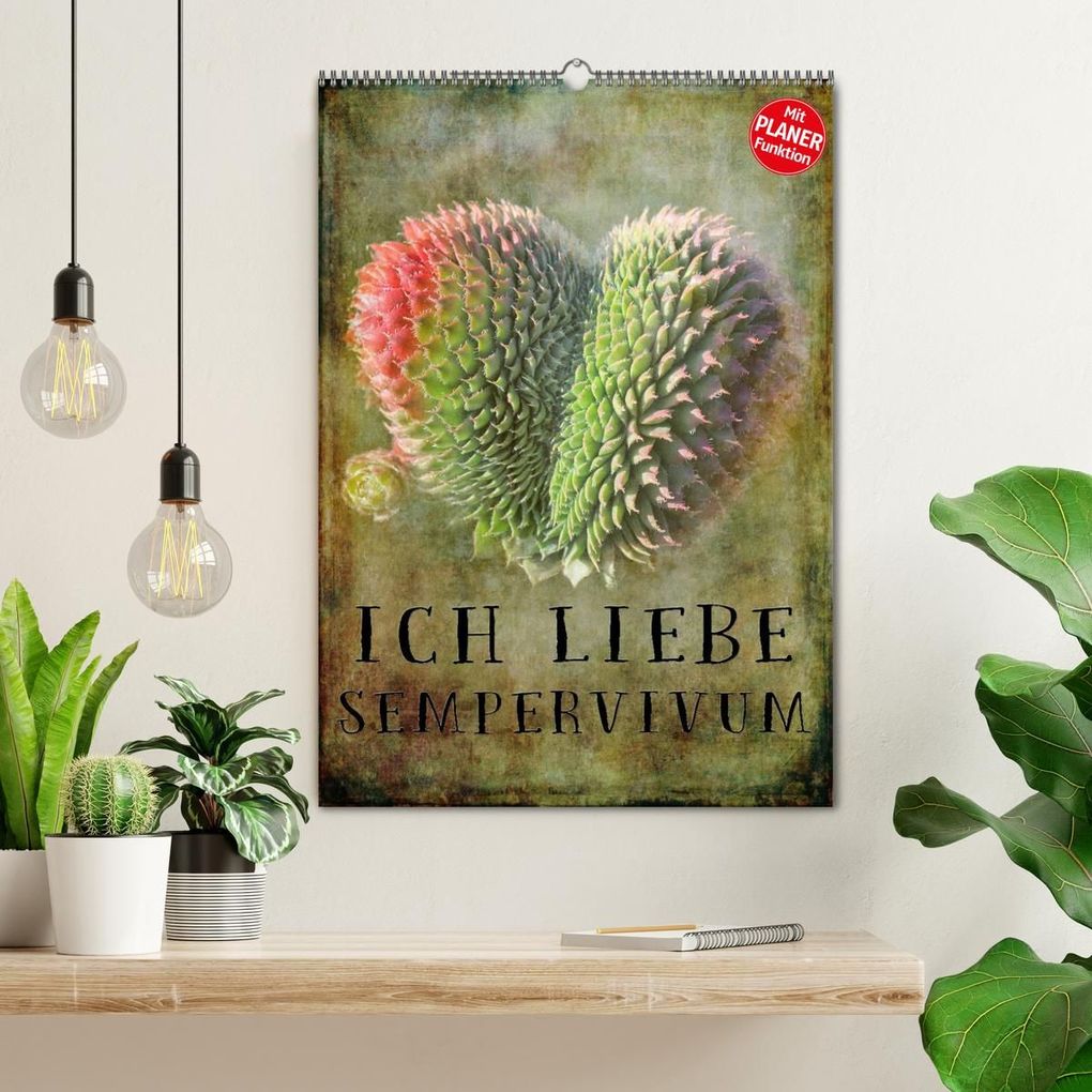 Weitere Ansicht: Ich liebe Sempervivum (Wandkalender 2027 DIN A2 hoch), CALVENDO Monatskalender | Martina Cross, Calvendo