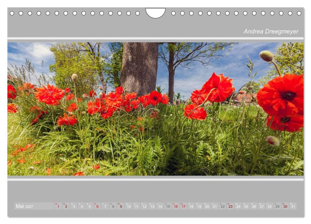 Weitere Ansicht: Krummhörn im Panorama-Format (Wandkalender 2027 DIN A4 quer), CALVENDO Monatskalender | Andrea Dreegmeyer, Calvendo