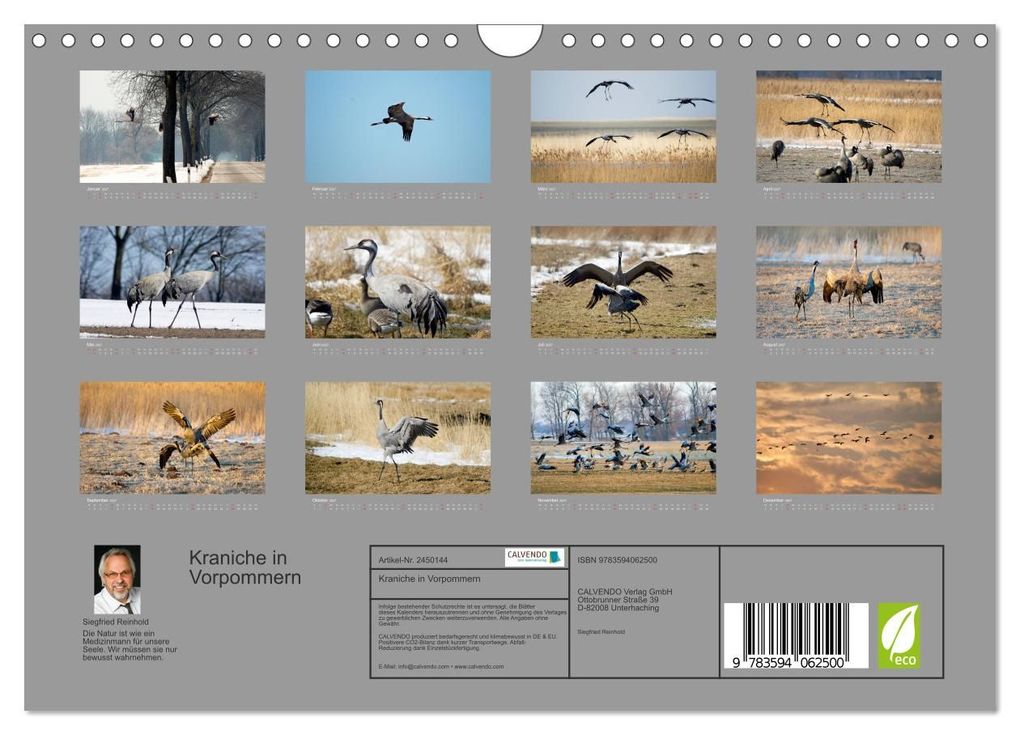 Weitere Ansicht: Kraniche in Vorpommern (Wandkalender 2027 DIN A4 quer), CALVENDO Monatskalender | Siegfried Reinhold, Calvendo