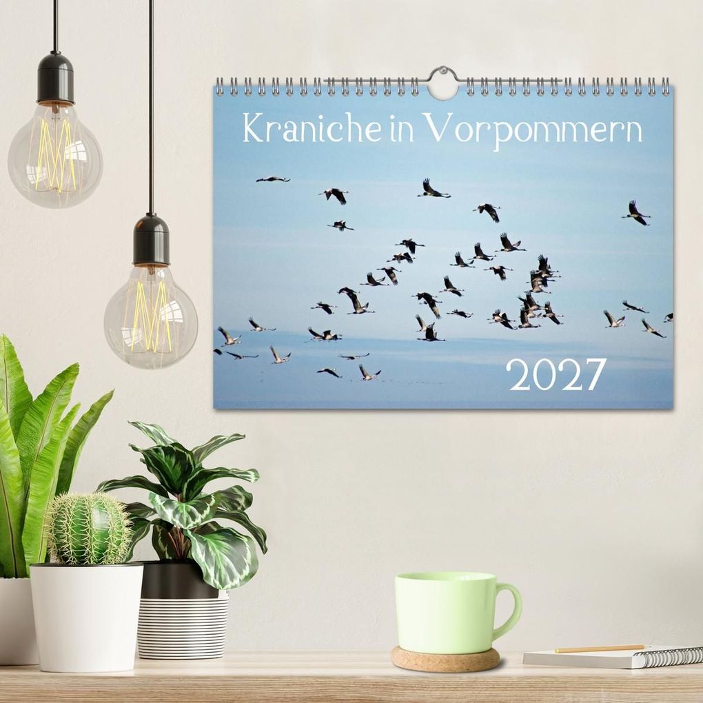 Weitere Ansicht: Kraniche in Vorpommern (Wandkalender 2027 DIN A4 quer), CALVENDO Monatskalender | Siegfried Reinhold, Calvendo