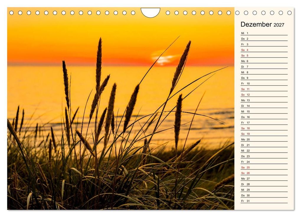 Weitere Ansicht: Langeoog Geburtstagskalender (Wandkalender 2027 DIN A4 quer), CALVENDO Monatskalender | Andrea Dreegmeyer, Calvendo