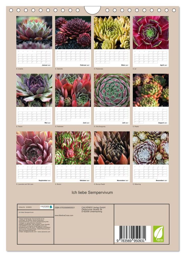 Weitere Ansicht: Ich liebe Sempervivum (Wandkalender 2027 DIN A4 hoch), CALVENDO Monatskalender | Martina Cross, Calvendo