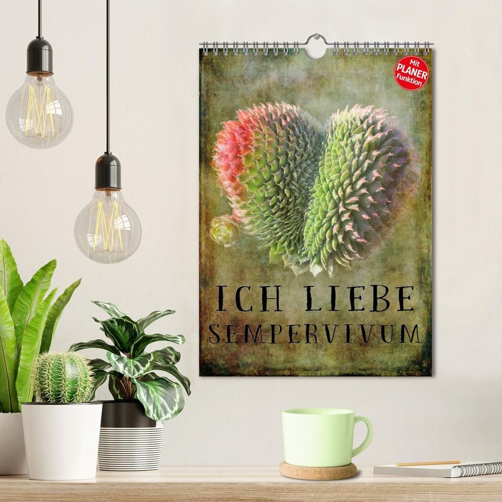 Weitere Ansicht: Ich liebe Sempervivum (Wandkalender 2027 DIN A4 hoch), CALVENDO Monatskalender | Martina Cross, Calvendo