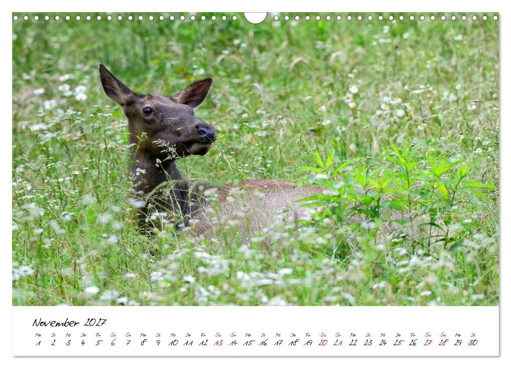 Weitere Ansicht: USA Ostküste Ein Road Trip (Wandkalender 2027 DIN A3 quer), CALVENDO Monatskalender | Calvendo
