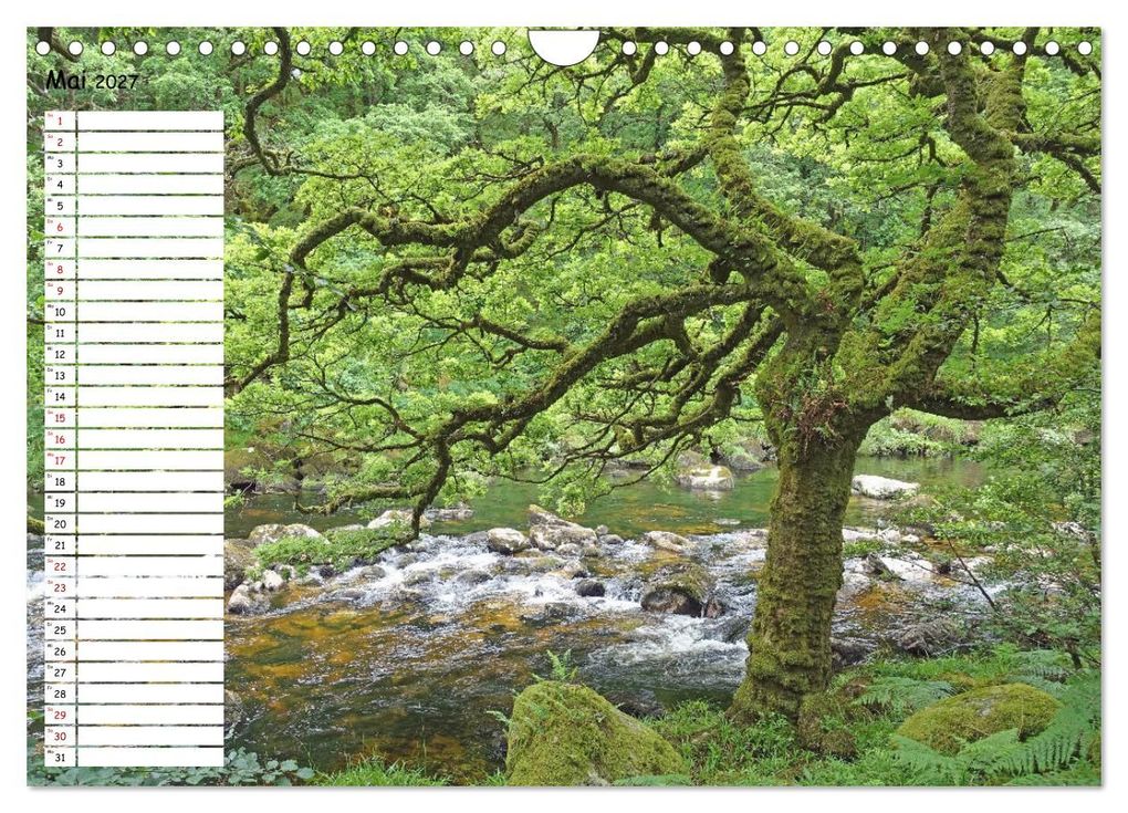Weitere Ansicht: Einsame Natur - Terminkalender (Wandkalender 2027 DIN A4 quer), CALVENDO Monatskalender | Anita Berger, Calvendo