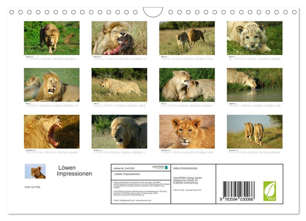 Weitere Ansicht: Löwen Impressionen (Wandkalender 2027 DIN A4 quer), CALVENDO Monatskalender | Anke van Wyk, Calvendo