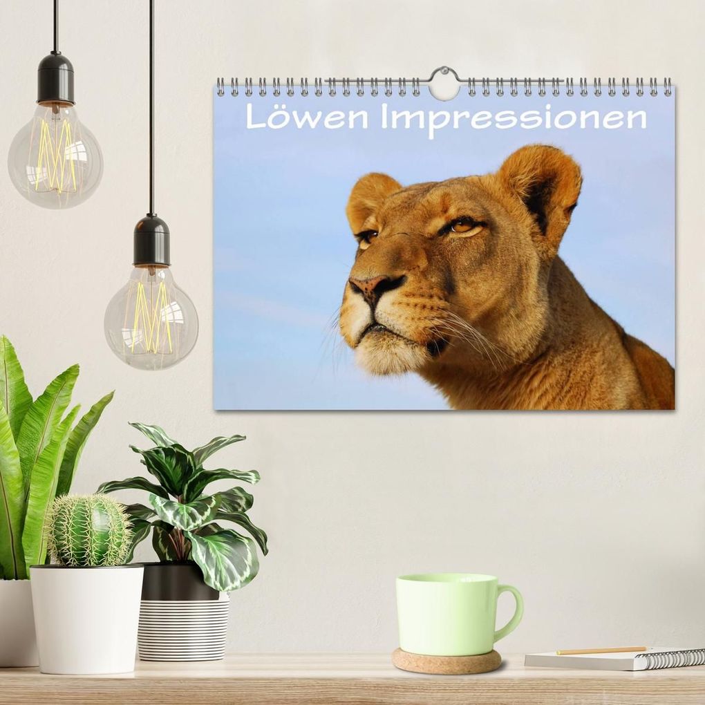Weitere Ansicht: Löwen Impressionen (Wandkalender 2027 DIN A4 quer), CALVENDO Monatskalender | Anke van Wyk, Calvendo