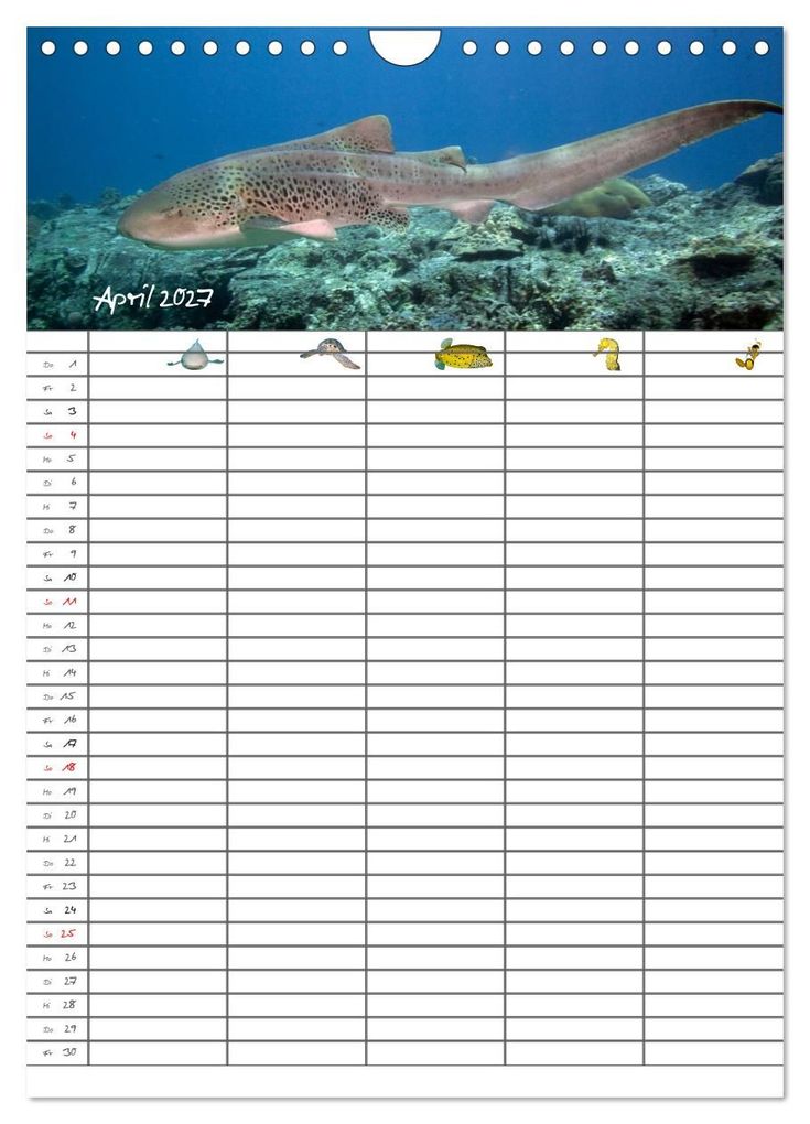 Weitere Ansicht: Der Unterwasser Familienplaner 2027 (Wandkalender 2027 DIN A4 hoch), CALVENDO Monatskalender | Sven Gruse, Calvendo