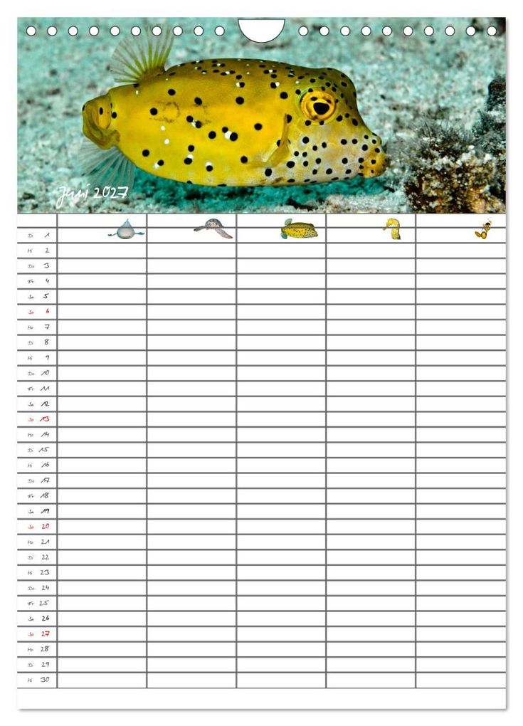 Weitere Ansicht: Der Unterwasser Familienplaner 2027 (Wandkalender 2027 DIN A4 hoch), CALVENDO Monatskalender | Sven Gruse, Calvendo