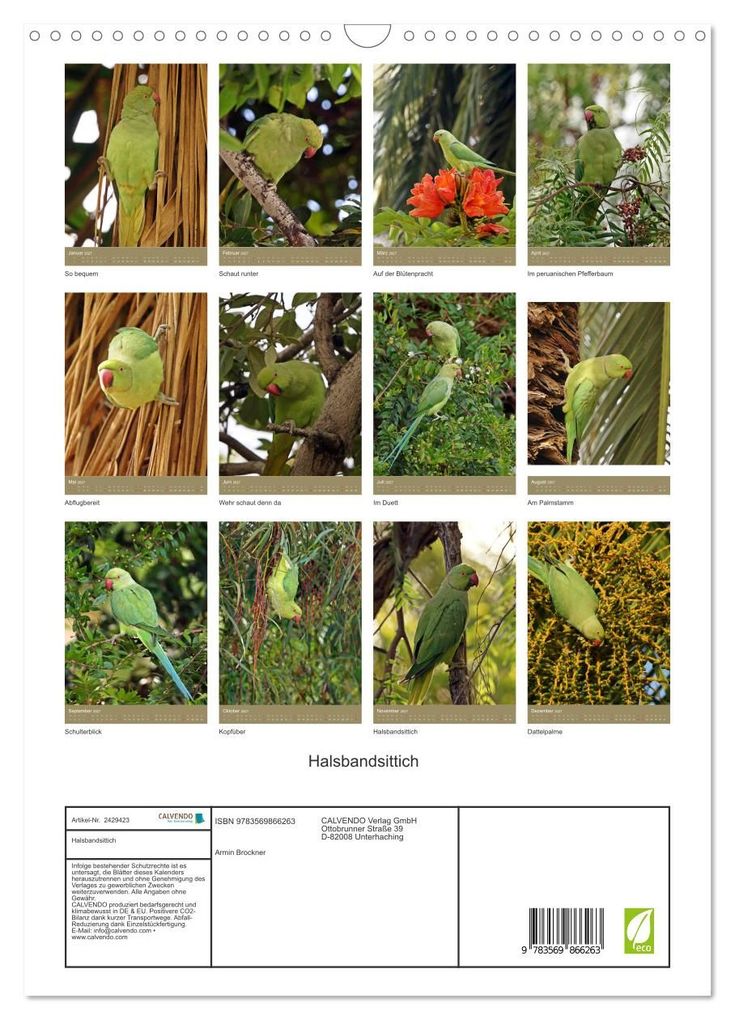 Weitere Ansicht: Halsbandsittich (Wandkalender 2027 DIN A3 hoch), CALVENDO Monatskalender | Armin Brockner, Calvendo