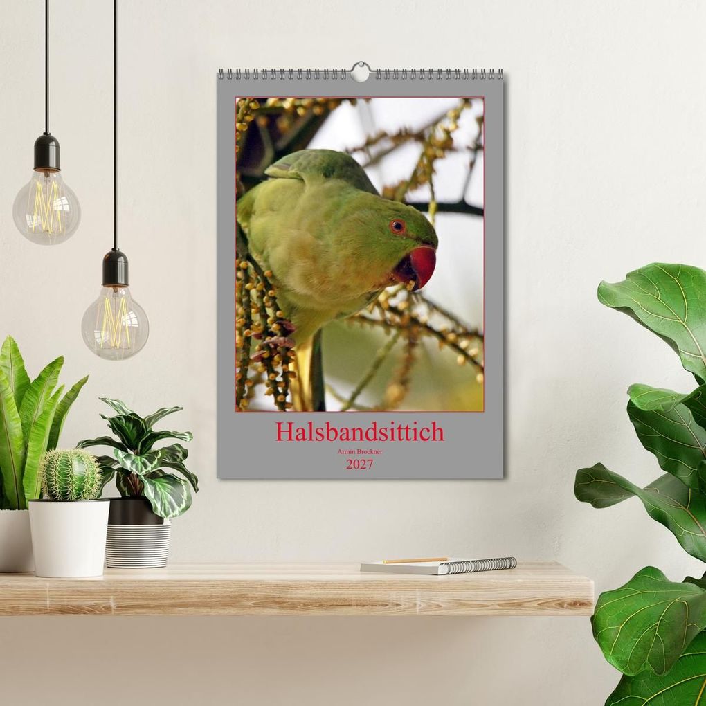 Weitere Ansicht: Halsbandsittich (Wandkalender 2027 DIN A3 hoch), CALVENDO Monatskalender | Armin Brockner, Calvendo