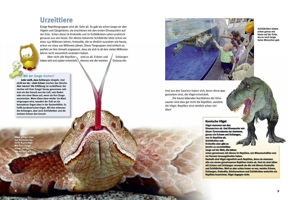 Weitere Ansicht: Entdecke die Reptilien | Heiko Werning