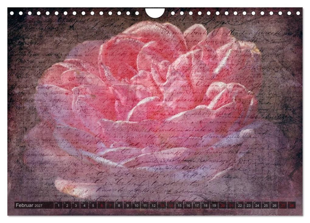 Weitere Ansicht: Gothic Rose - Rosen aus dem Garten der Finsternis (Wandkalender 2027 DIN A4 quer), CALVENDO Monatskalender | Martina Cross, Calvendo