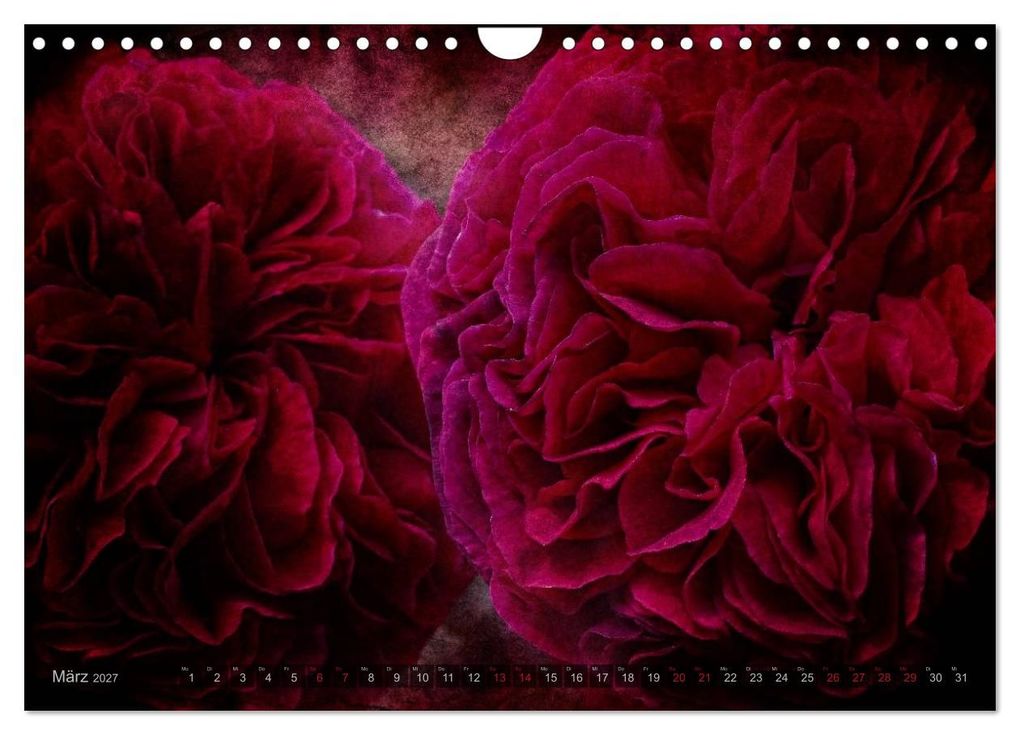 Weitere Ansicht: Gothic Rose - Rosen aus dem Garten der Finsternis (Wandkalender 2027 DIN A4 quer), CALVENDO Monatskalender | Martina Cross, Calvendo