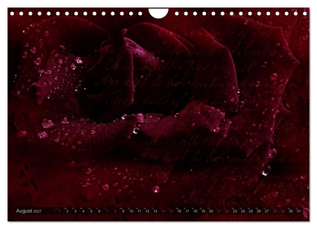 Weitere Ansicht: Gothic Rose - Rosen aus dem Garten der Finsternis (Wandkalender 2027 DIN A4 quer), CALVENDO Monatskalender | Martina Cross, Calvendo