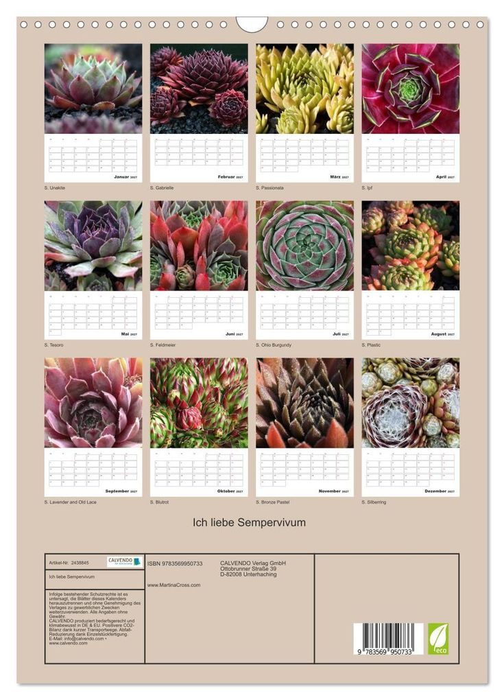 Weitere Ansicht: Ich liebe Sempervivum (Wandkalender 2027 DIN A3 hoch), CALVENDO Monatskalender | Martina Cross, Calvendo