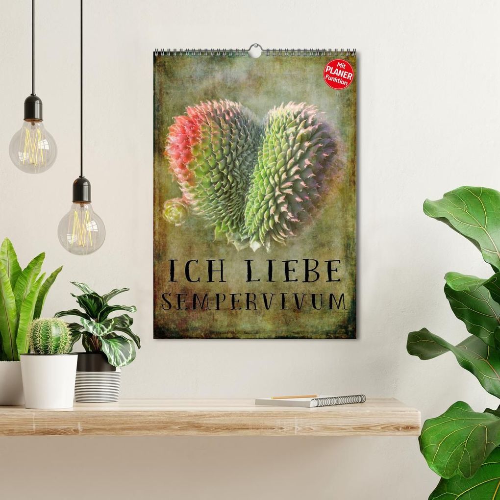 Weitere Ansicht: Ich liebe Sempervivum (Wandkalender 2027 DIN A3 hoch), CALVENDO Monatskalender | Martina Cross, Calvendo