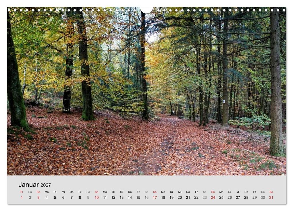 Weitere Ansicht: Saarland - unbekannte Schönheit (Wandkalender 2027 DIN A3 quer), CALVENDO Monatskalender | Thomas Becker, Calvendo