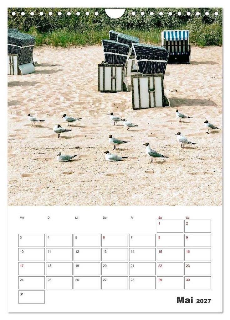 Weitere Ansicht: Usedom - Terminplaner (Wandkalender 2027 DIN A4 hoch), CALVENDO Monatskalender | Nina Schwarze, Calvendo