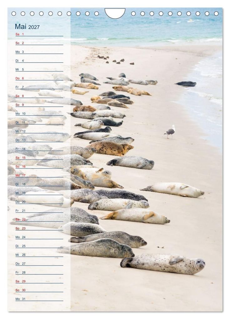 Weitere Ansicht: Maritim - Geburtstagskalender (Wandkalender 2027 DIN A4 hoch), CALVENDO Monatskalender | Carola Vahldiek, Calvendo