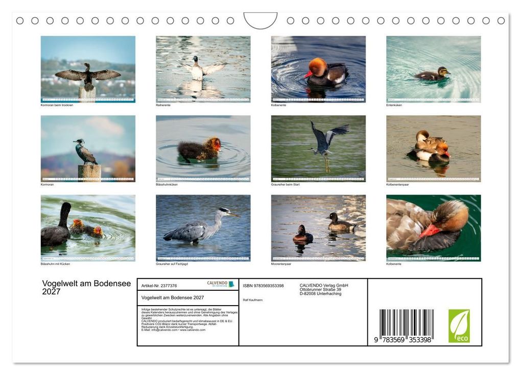 Weitere Ansicht: Vogelwelt am Bodensee 2027 (Wandkalender 2027 DIN A4 quer), CALVENDO Monatskalender | Ralf kaufmann Fotos, Calvendo
