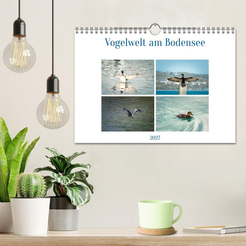 Weitere Ansicht: Vogelwelt am Bodensee 2027 (Wandkalender 2027 DIN A4 quer), CALVENDO Monatskalender | Ralf kaufmann Fotos, Calvendo