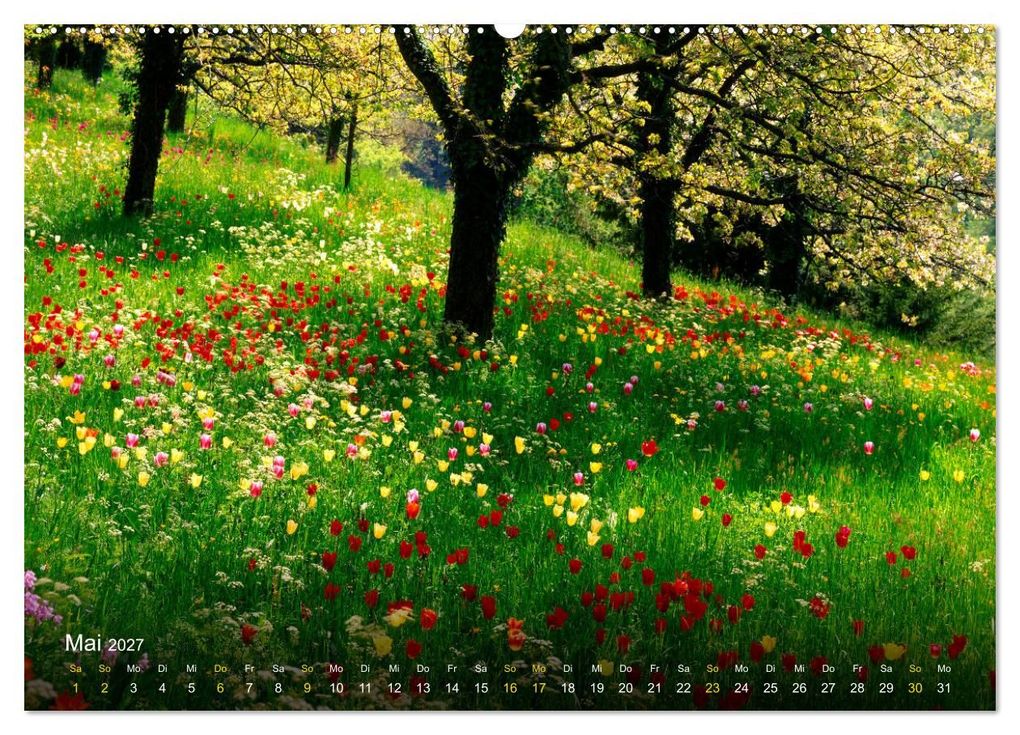 Weitere Ansicht: Traum Momente (Wandkalender 2027 DIN A2 quer), CALVENDO Monatskalender | Edmund Nägele F.R.P.S., Calvendo