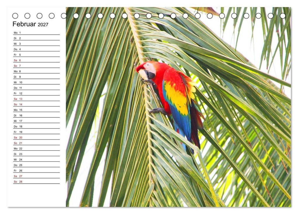 Weitere Ansicht: Tiere der Erde Geburtstagskalender (Tischkalender 2027 DIN A5 quer), CALVENDO Monatskalender | Denise Graupner, Calvendo