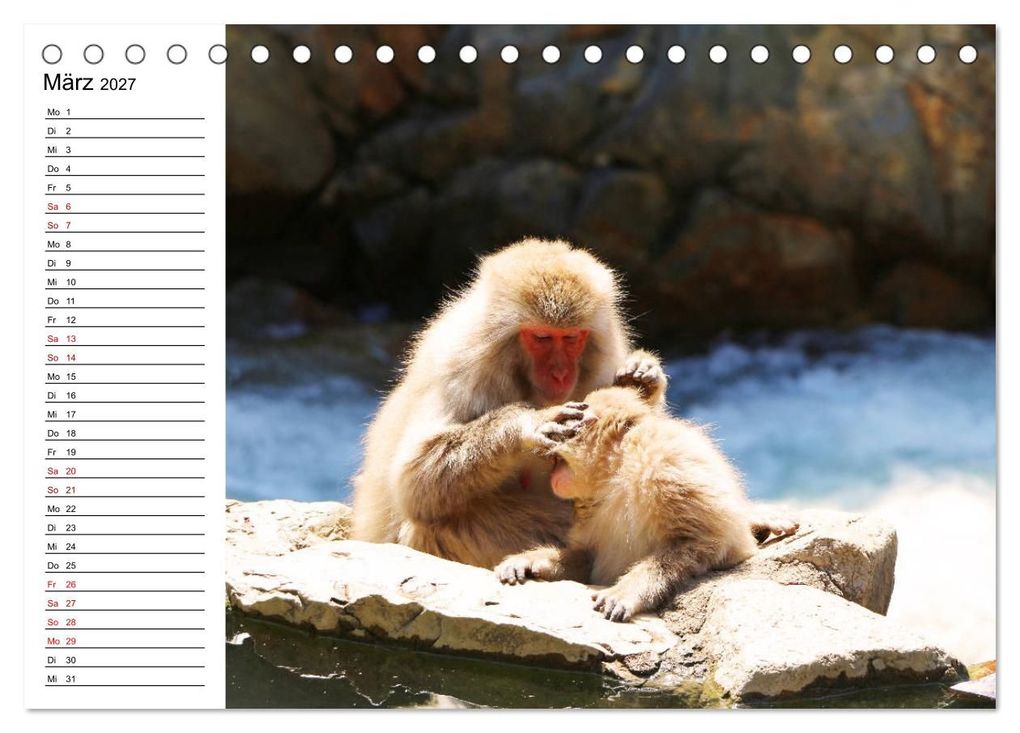 Weitere Ansicht: Tiere der Erde Geburtstagskalender (Tischkalender 2027 DIN A5 quer), CALVENDO Monatskalender | Denise Graupner, Calvendo