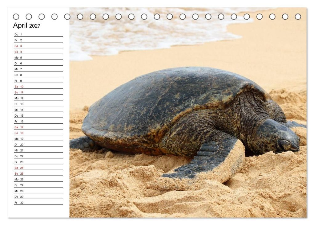 Weitere Ansicht: Tiere der Erde Geburtstagskalender (Tischkalender 2027 DIN A5 quer), CALVENDO Monatskalender | Denise Graupner, Calvendo