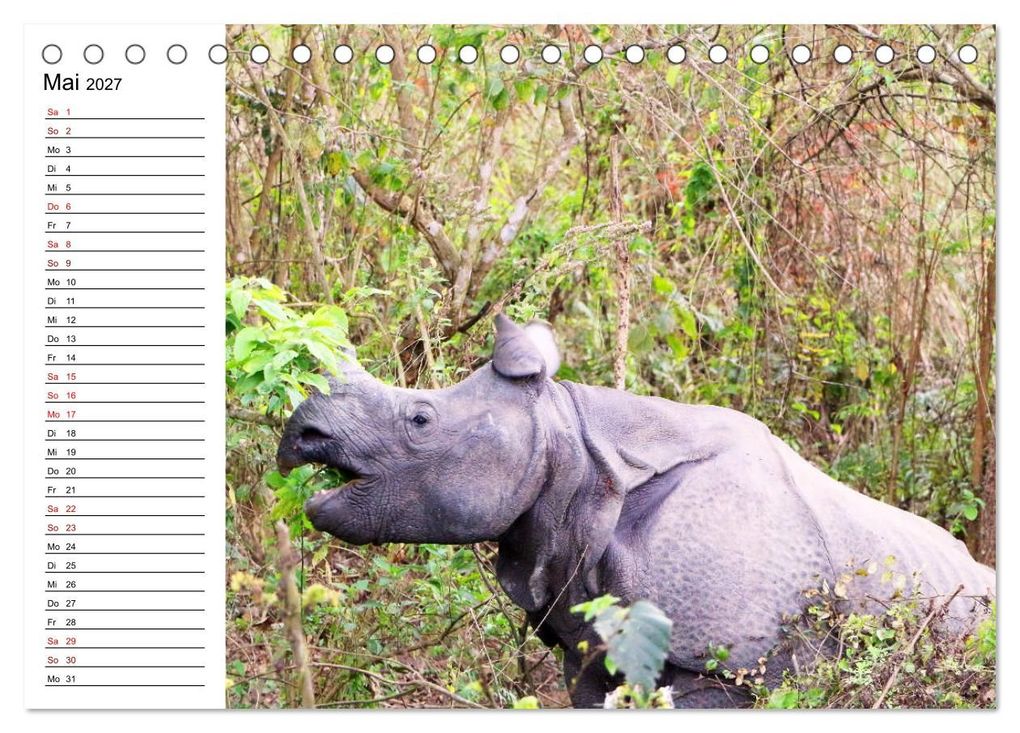 Weitere Ansicht: Tiere der Erde Geburtstagskalender (Tischkalender 2027 DIN A5 quer), CALVENDO Monatskalender | Denise Graupner, Calvendo