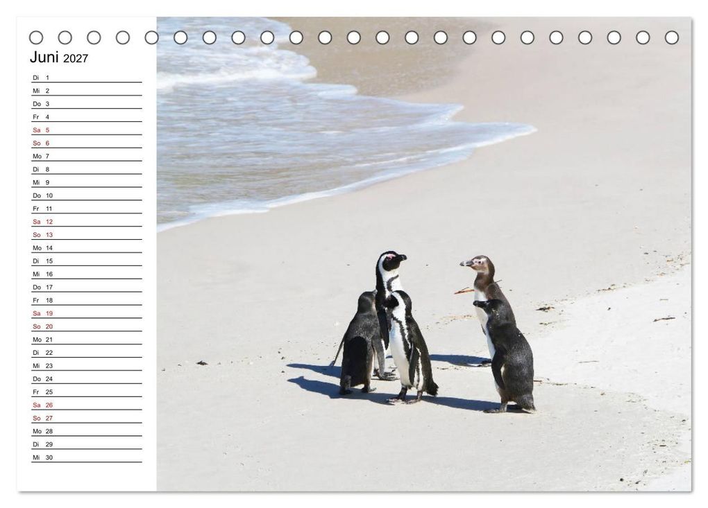 Weitere Ansicht: Tiere der Erde Geburtstagskalender (Tischkalender 2027 DIN A5 quer), CALVENDO Monatskalender | Denise Graupner, Calvendo