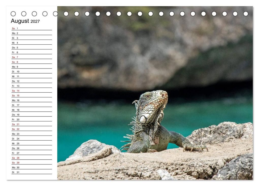 Weitere Ansicht: Tiere der Erde Geburtstagskalender (Tischkalender 2027 DIN A5 quer), CALVENDO Monatskalender | Denise Graupner, Calvendo