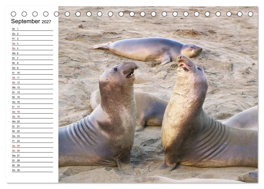 Weitere Ansicht: Tiere der Erde Geburtstagskalender (Tischkalender 2027 DIN A5 quer), CALVENDO Monatskalender | Denise Graupner, Calvendo