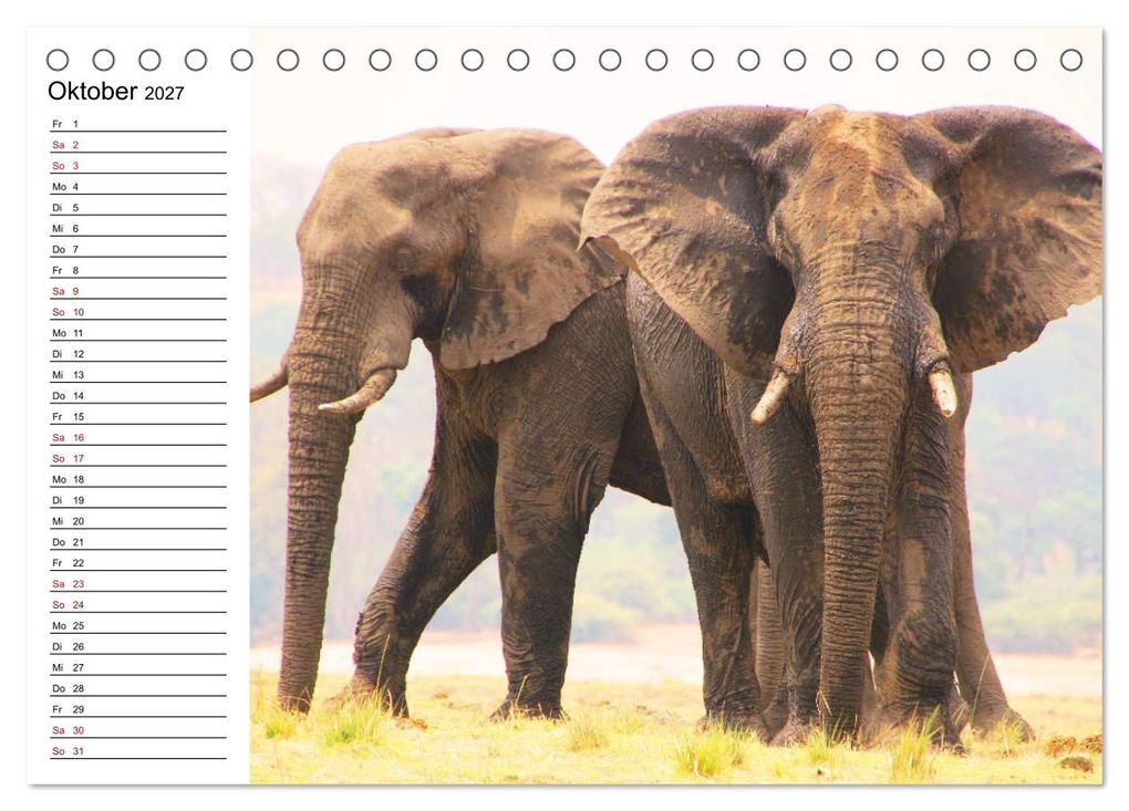 Weitere Ansicht: Tiere der Erde Geburtstagskalender (Tischkalender 2027 DIN A5 quer), CALVENDO Monatskalender | Denise Graupner, Calvendo
