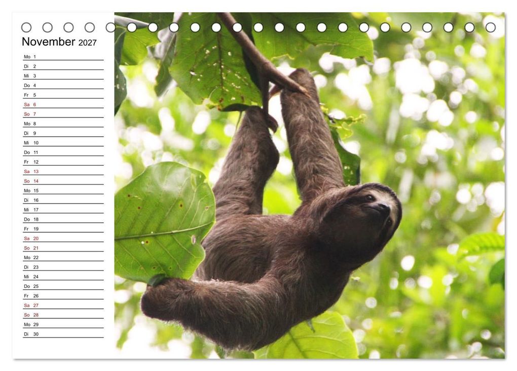 Weitere Ansicht: Tiere der Erde Geburtstagskalender (Tischkalender 2027 DIN A5 quer), CALVENDO Monatskalender | Denise Graupner, Calvendo