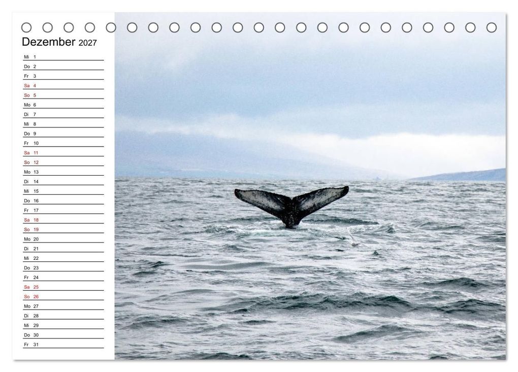 Weitere Ansicht: Tiere der Erde Geburtstagskalender (Tischkalender 2027 DIN A5 quer), CALVENDO Monatskalender | Denise Graupner, Calvendo