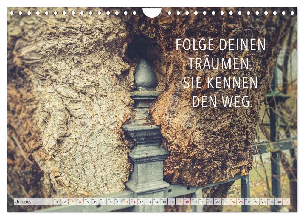Weitere Ansicht: Träume - Motivationssprüche für Dich (Wandkalender 2027 DIN A4 quer), CALVENDO Monatskalender | Dirk Meutzner, Calvendo