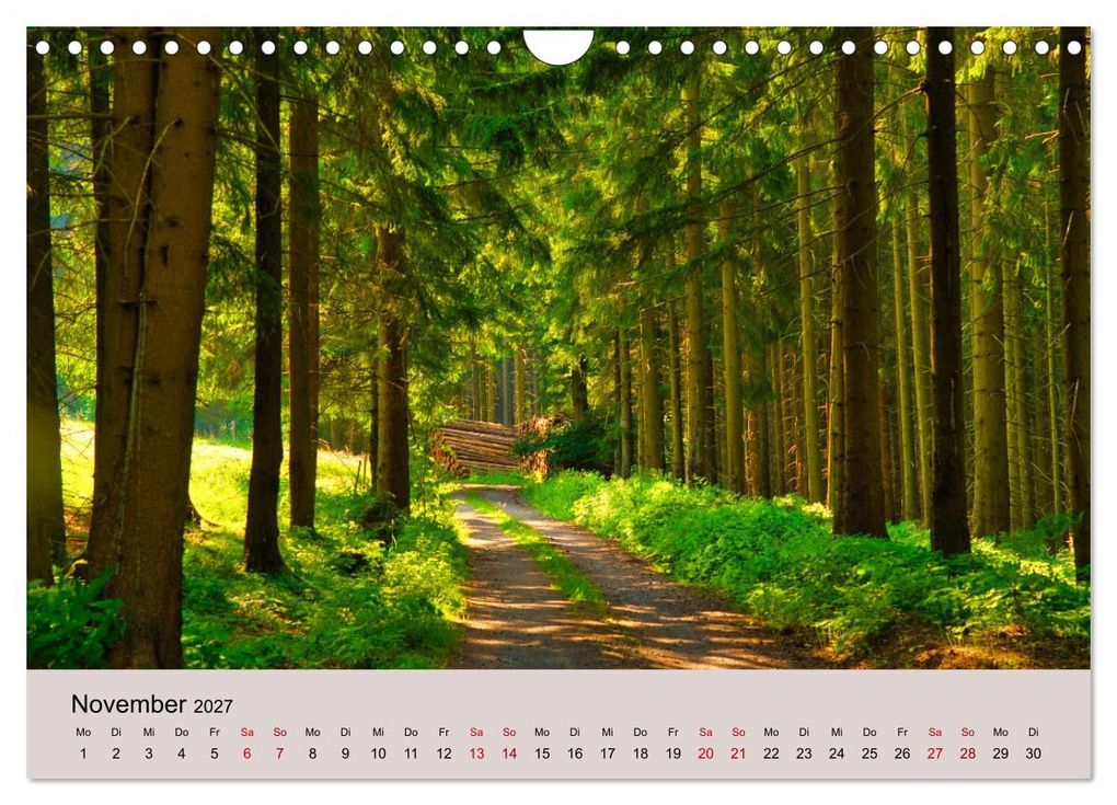 Weitere Ansicht: Naturerlebnis Thüringen (Wandkalender 2027 DIN A4 quer), CALVENDO Monatskalender | Tanja Voigt, Calvendo