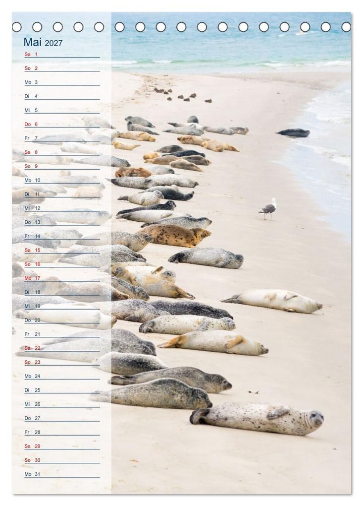 Weitere Ansicht: Maritim - Geburtstagskalender (Tischkalender 2027 DIN A5 hoch), CALVENDO Monatskalender | Carola Vahldiek, Calvendo