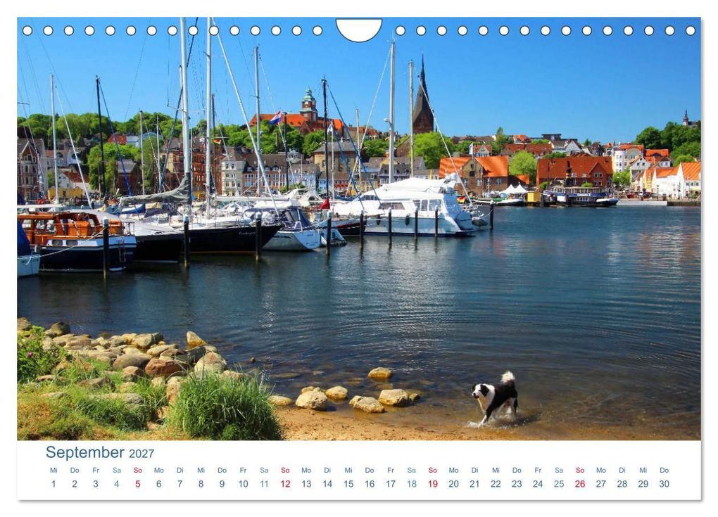 Weitere Ansicht: Flensburg 2027. Impressionen rund um den Hafen (Wandkalender 2027 DIN A4 quer), CALVENDO Monatskalender | Steffani Lehmann, Calvendo