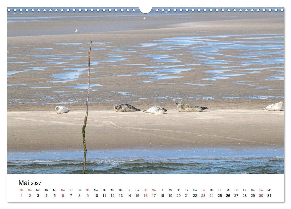 Weitere Ansicht: So schön ist Schleswig-Holstein (Wandkalender 2027 DIN A3 quer), CALVENDO Monatskalender | www.annettmirsberger.de, Annett Mirsberger, Calvendo