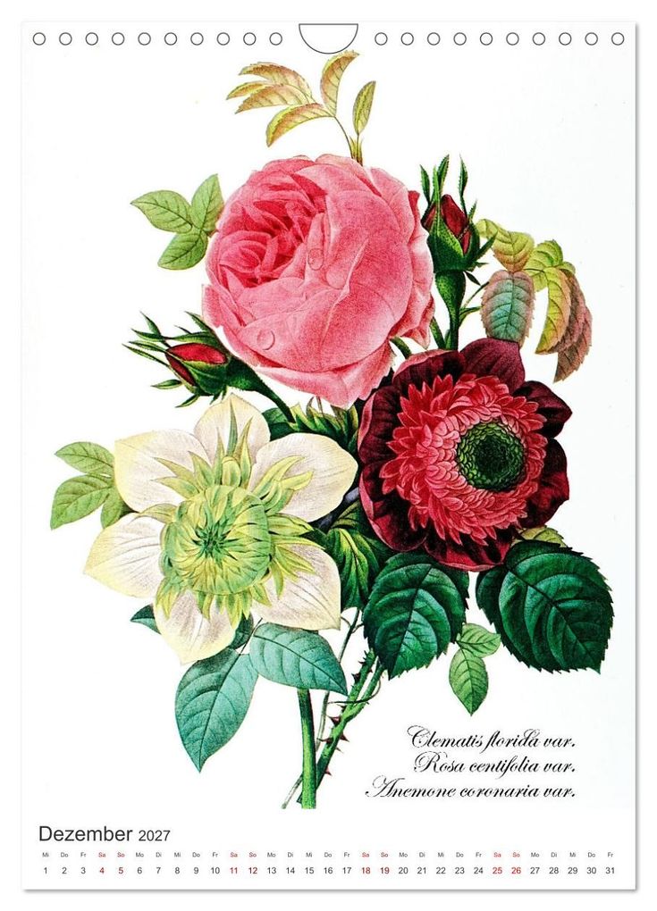 Weitere Ansicht: Rosen-Jahr (Wandkalender 2027 DIN A4 hoch), CALVENDO Monatskalender | bilwissedition, Layout: Babette Reek, Calvendo