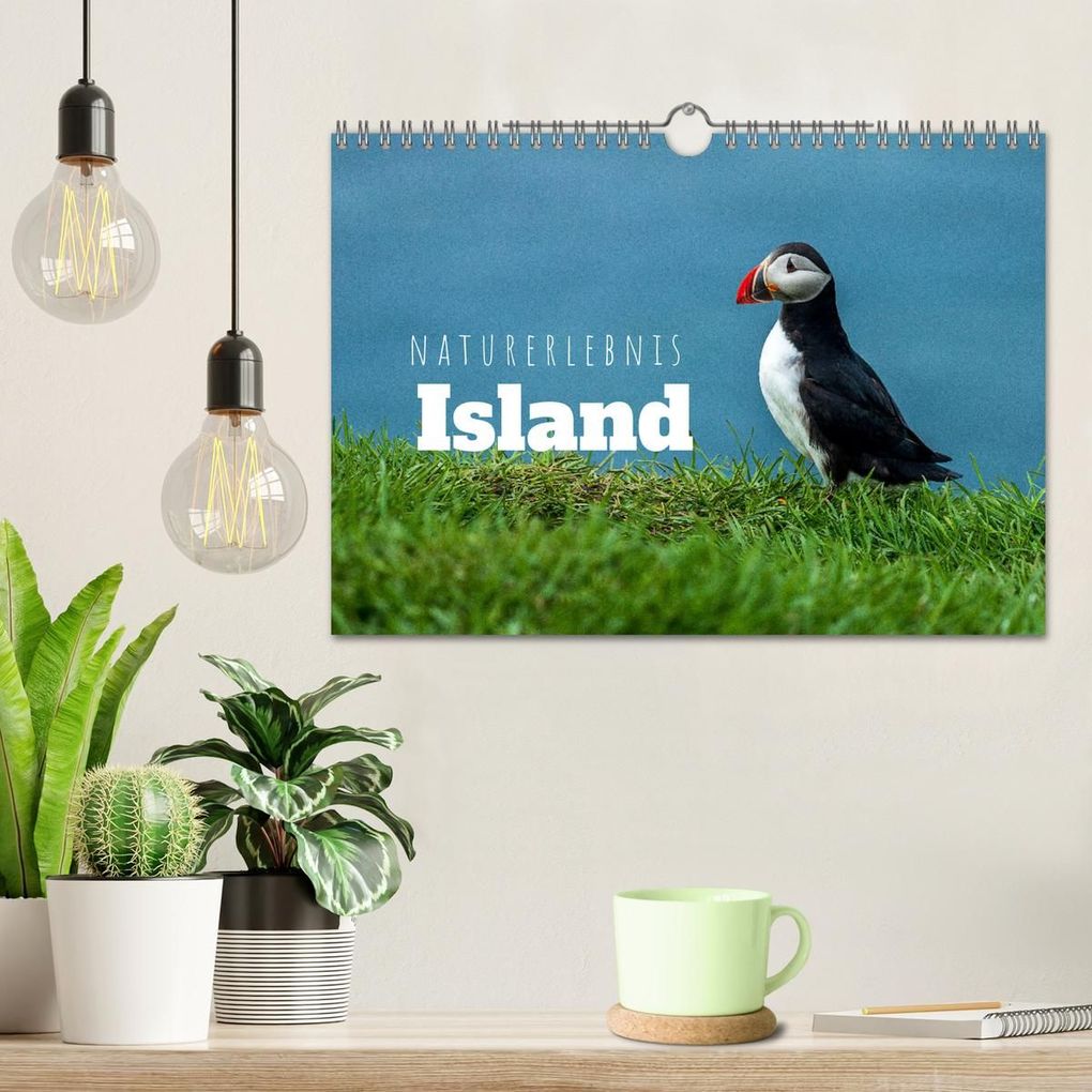 Weitere Ansicht: Naturerlebnis Island (Wandkalender 2027 DIN A4 quer), CALVENDO Monatskalender | Thomas Holtgräwe, Calvendo
