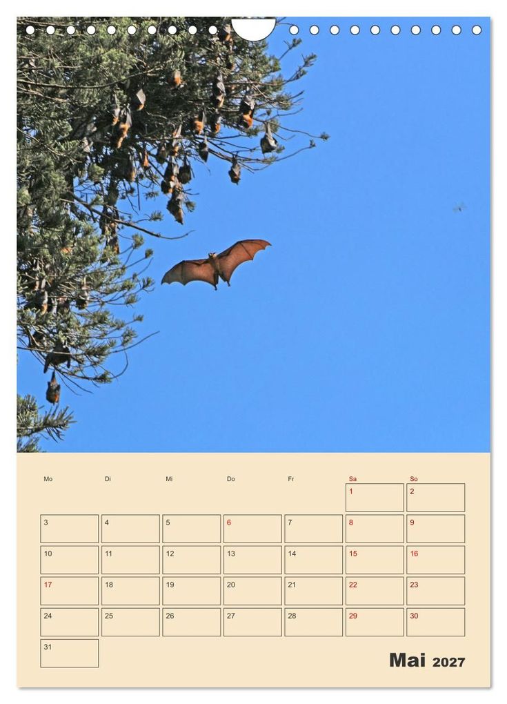 Weitere Ansicht: Sri Lanka - Terminplaner (Wandkalender 2027 DIN A4 hoch), CALVENDO Monatskalender | Denise Graupner, Calvendo