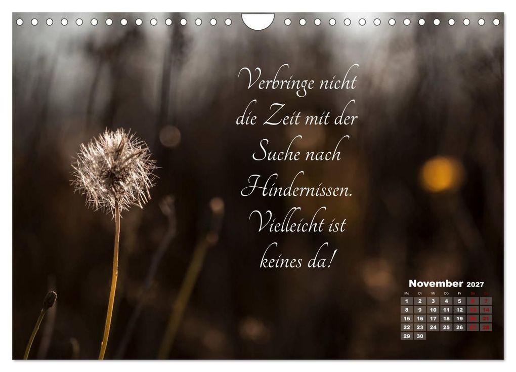 Weitere Ansicht: Chinesische Weisheiten (Wandkalender 2027 DIN A4 quer), CALVENDO Monatskalender | Ulrike Adam, Calvendo