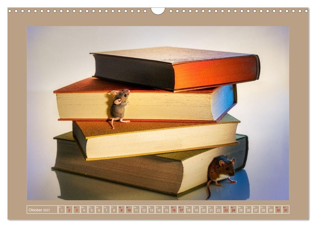Weitere Ansicht: Bücher phantasievoll und sachlich (Wandkalender 2027 DIN A3 quer), CALVENDO Monatskalender | Christiane Calmbacher, Calvendo
