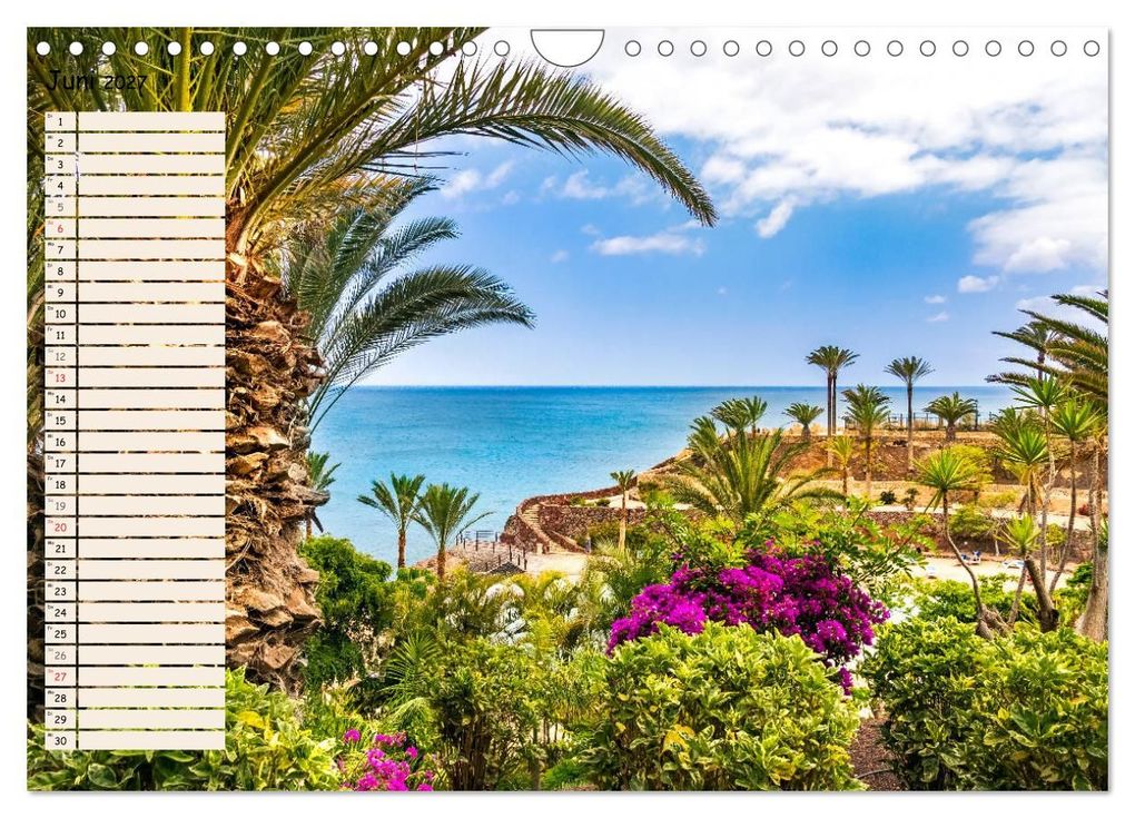Weitere Ansicht: FUERTEVENTURA Geburtstagskalender mit Planerfunktion (Wandkalender 2027 DIN A4 quer), CALVENDO Monatskalender | Andrea Dreegmeyer, Calvendo
