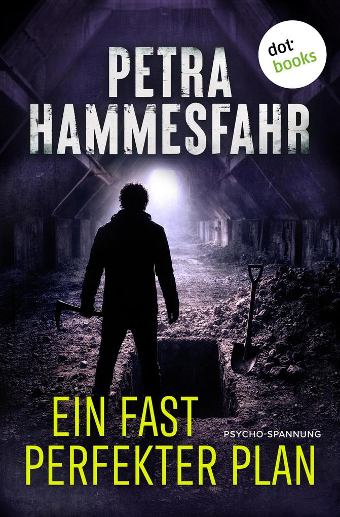 Produktbild: Ein fast perfekter Plan | Petra Hammesfahr